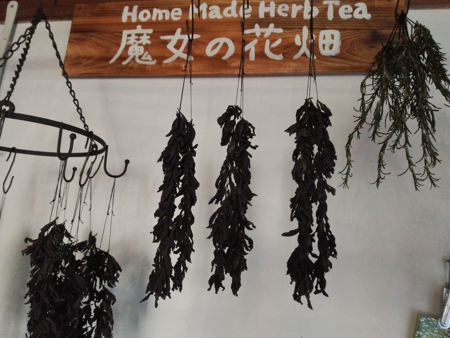 ブラックミント乾燥中