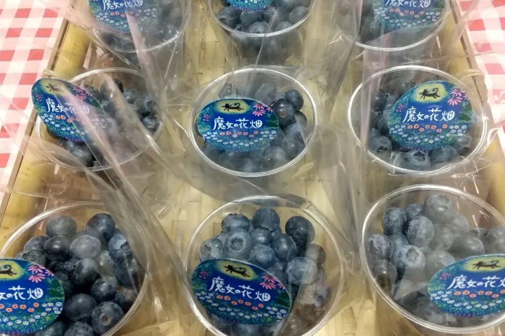 魔女花のブルーベリー