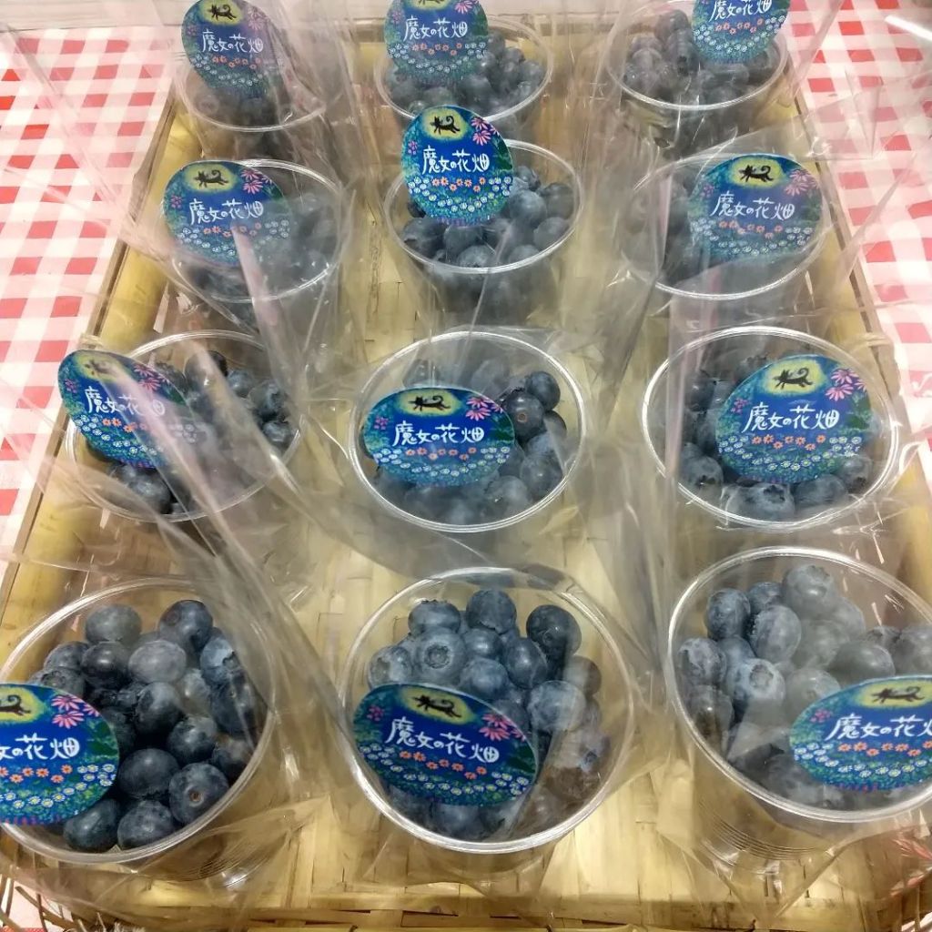 魔女花のブルーベリー